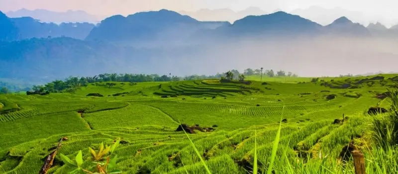 Voyager avec un Guide francophone au Vietnam pour visiter Pu Luong