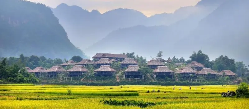 Voyager avec un Guide francophone au Vietnam pour visiter vallée Mai Chau