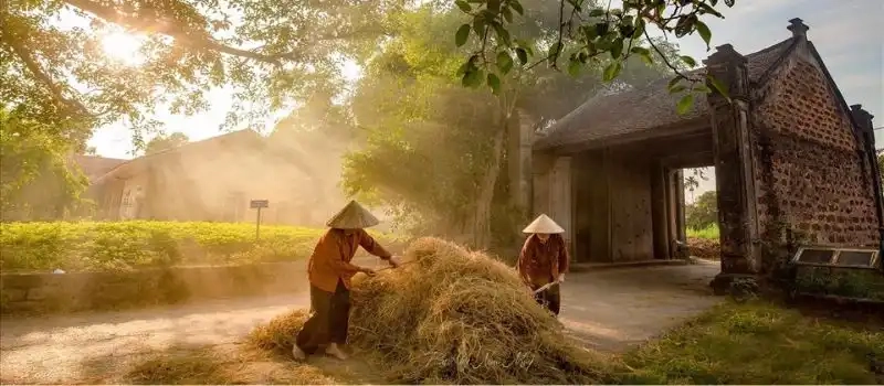 Voyager avec un Guide francophone au Vietnam pour visiter village Duong Lam