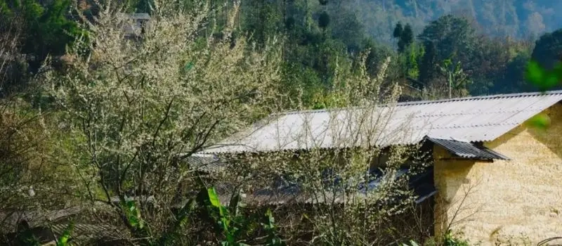 Voyager avec un Guide francophone au Vietnam pour visiter village Pho Bang