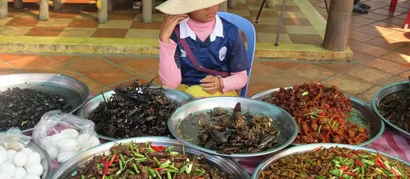 Plats &agrave; base d&rsquo;insectes Cambodge