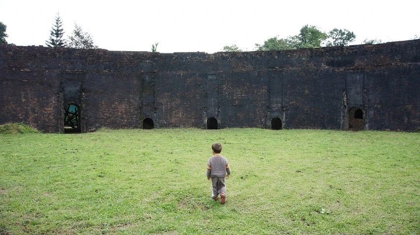 L'Ar&egrave;ne de tigres (Ho Quyen)