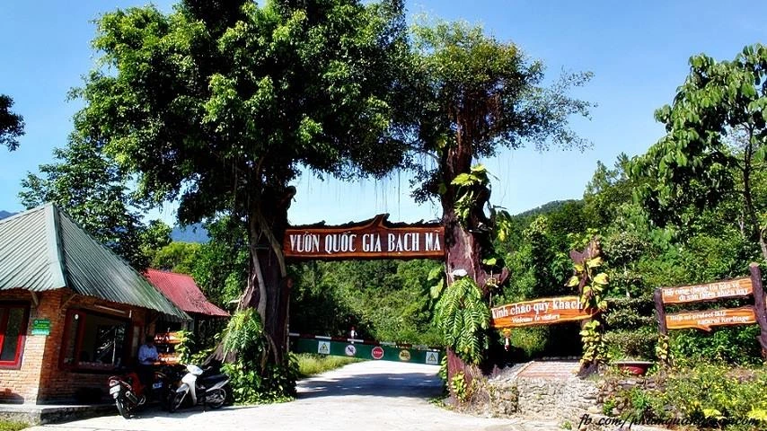 Le parc national de Bach Ma