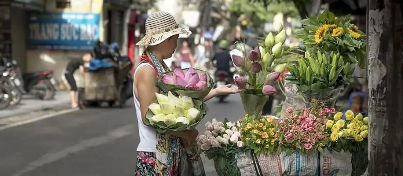 36 rues et corporations du vieux quartier de Hanoi