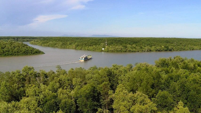 Visiter le site touristique de la mangrove de V&agrave;m S&aacute;t