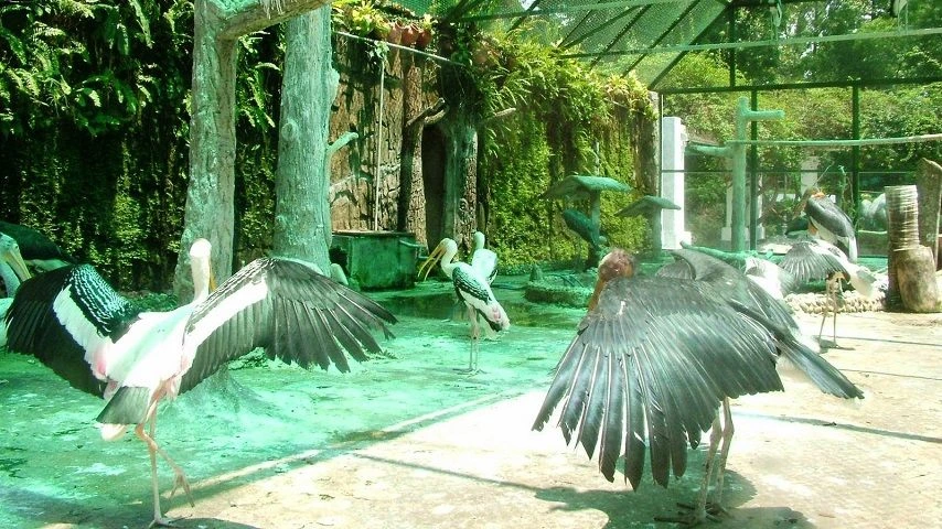 Le jardin botanique et zoologique