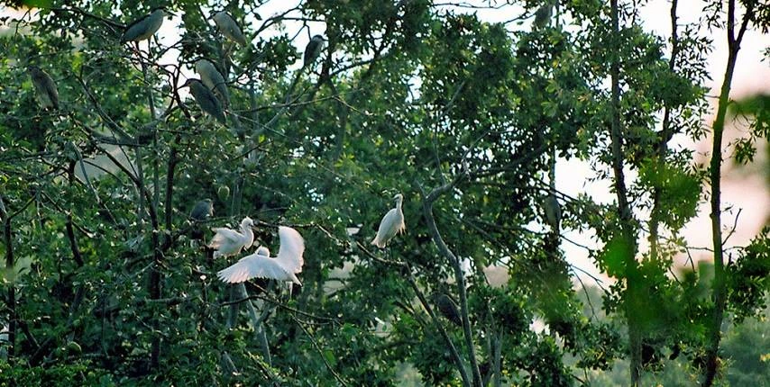 Visiter le parc Lam Vien