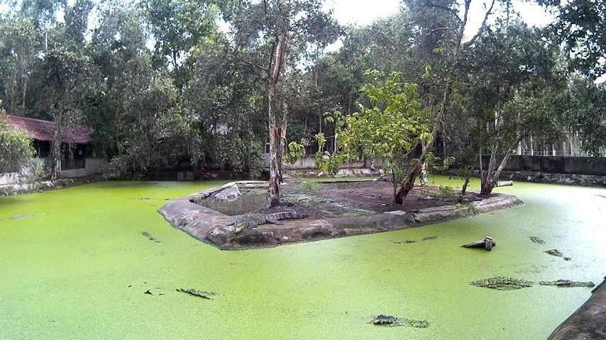 La ferme aux crocodiles Hoa C&agrave;