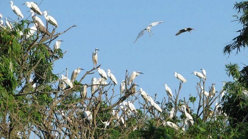 Le jardin Bang Lang C&acirc;n Tho