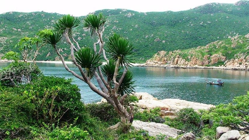 Parc national de Nui Chua