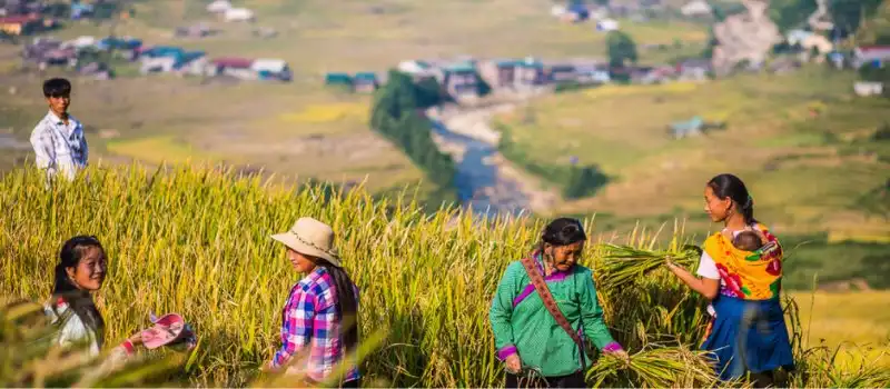 5 jours de Sapa en baie Halong Vietnam