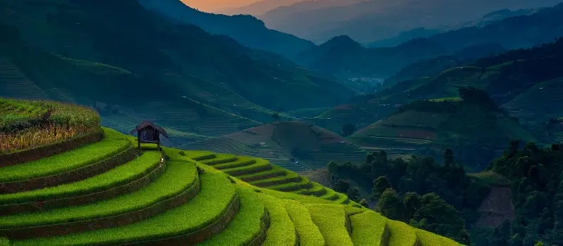 Les rizi&egrave;res en terrasse du nord du Vietnam