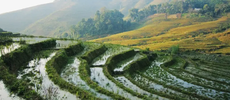 Admirer les rizi&egrave;res en terrasses en saison des eaux