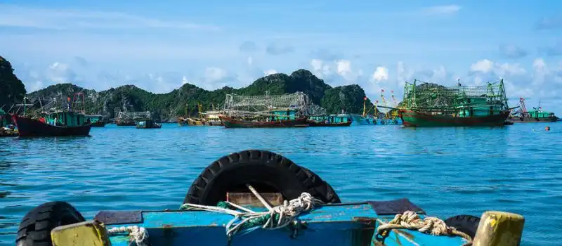 Appr&eacute;ciez le moment m&eacute;morable au Vietnam