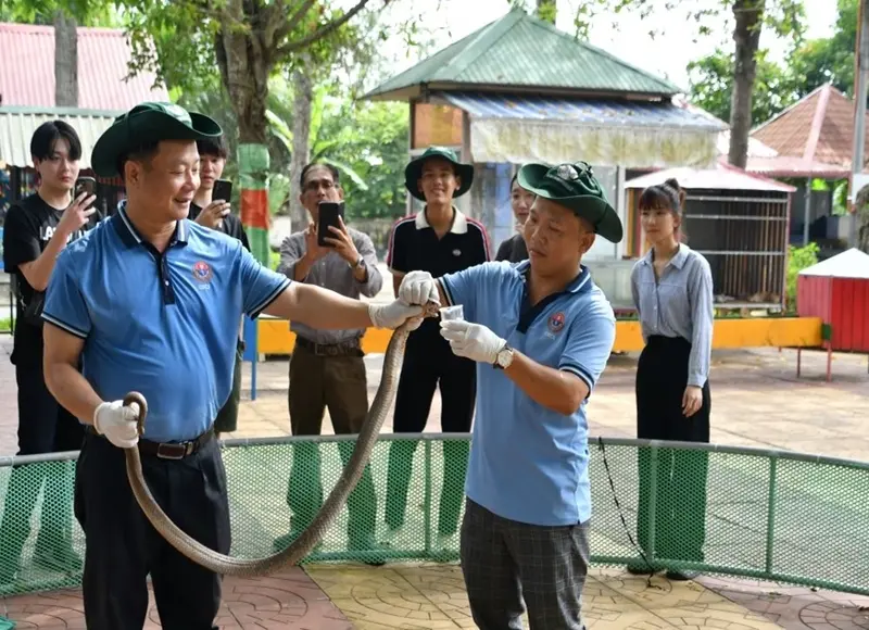 au-coeur-du-delta-du-mékong-top-7-destinations-à-ne-pas-manquer au-coeur-du-delta-du-mékong-top-7-destinations-à-ne-pas-manquer