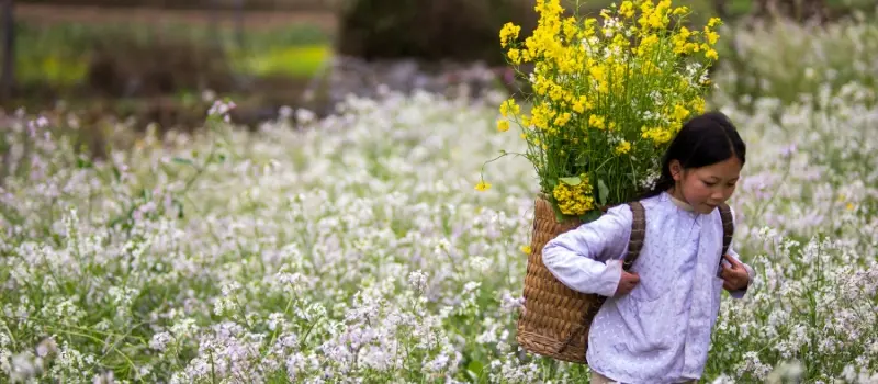 Autres joyaux naturels du Nord &agrave; ne pas manquer