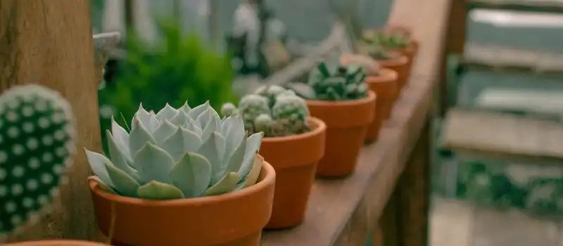 Choisir des h&eacute;bergements durables