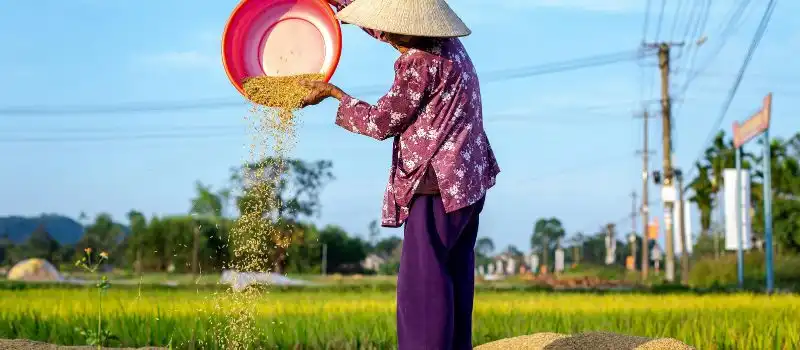 Choisir un guide francophone local pour s&eacute;jour au Vietnam