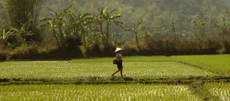 Circuit au Nord du Vietnam