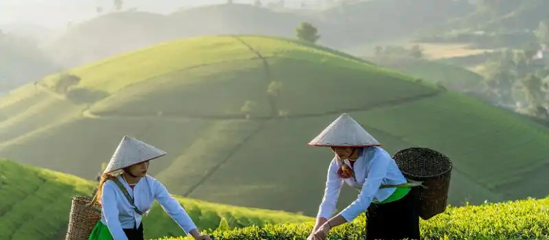 Circuit Vietnam en avril