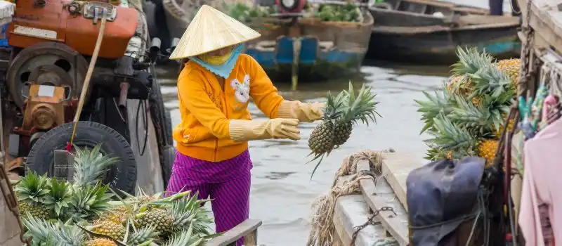 Circuits sur le M&eacute;kong