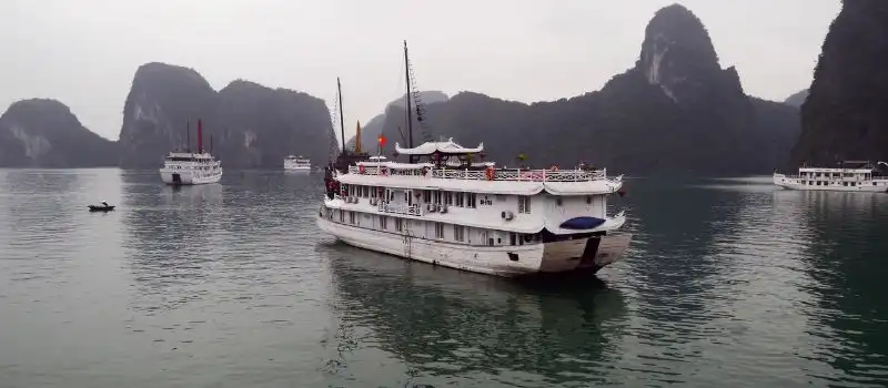 Croisi&egrave;res familiales avec nuit&eacute;es paisibles en baie d'Halong