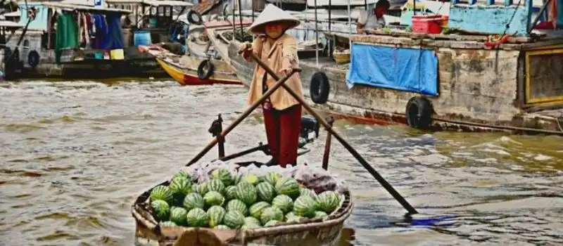 De d&eacute;cembre &agrave; mai - La saison s&egrave;che