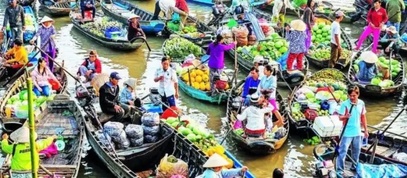 De juin &agrave; novembre  La saison des pluies