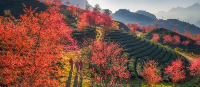 D&eacute;couverte de Sapa Vietnam