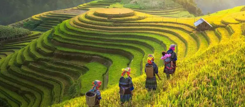 D&eacute;couverte de Sapa