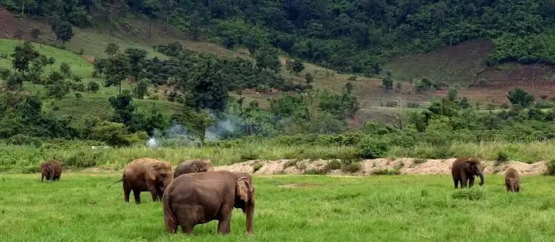 D&eacute;couverte des Hauts Plateaux de Mondulkiri