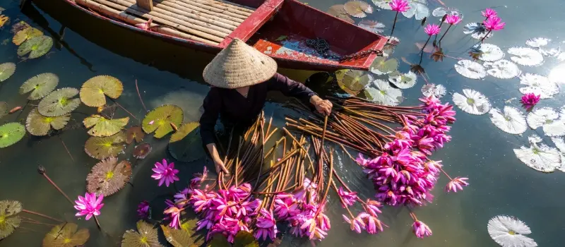 D&eacute;couvrir le Vietnam dans le delta du M&eacute;kong