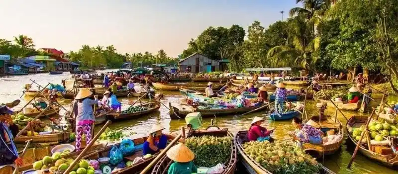 Delta fertil du M&eacute;kong