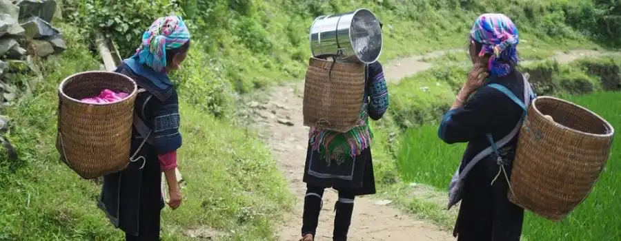 Diversit&eacute; culturelle