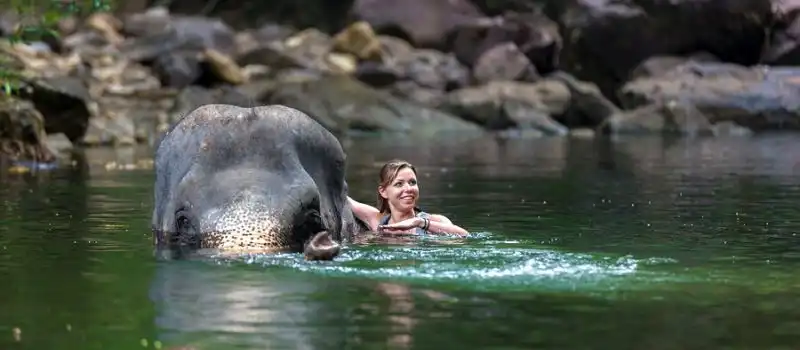 Elephant Valley Project Mondolkiri