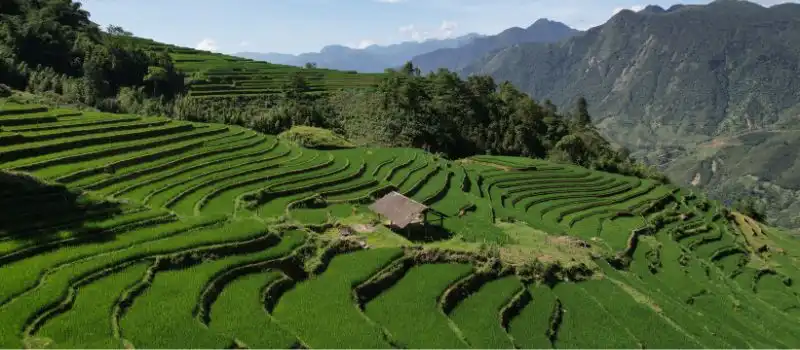 &Eacute;tape incontournable Tam Duong