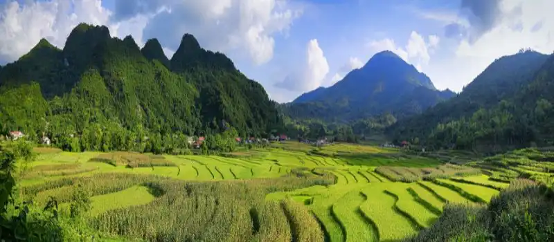 Expertise et connaissances approfondies