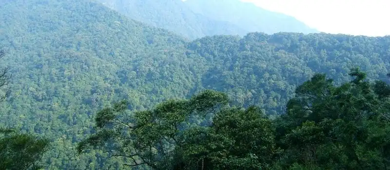 Faire du trekking dans les for&ecirc;ts &agrave; Tam Dao