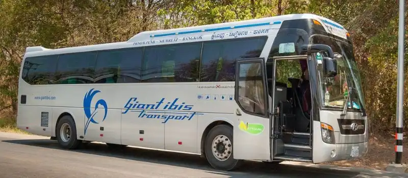 Giant Ibis Bus