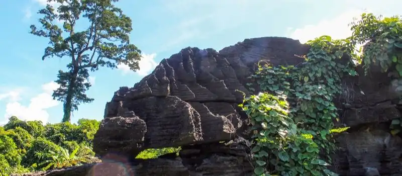 Grotte chauve-souris de Tien An