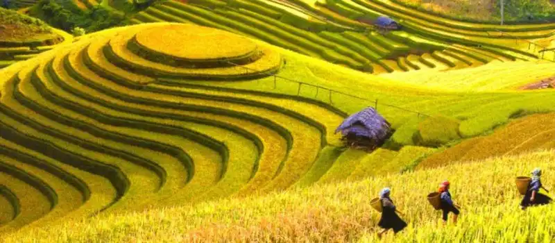 Hoang Su Phi Ha Giang