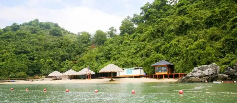 Ile de Soi Sim Halong