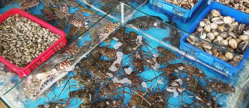 Sp&eacute;cialit&eacute;s culinaires des r&eacute;gions c&ocirc;ti&egrave;res