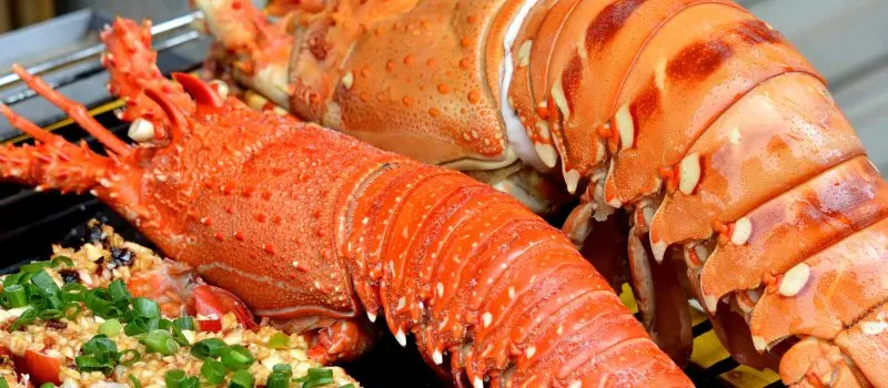 D&eacute;lices de fruits de mer