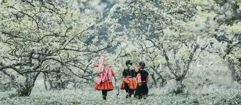 Voyage &agrave; Mai Chau Vietnam au printemps