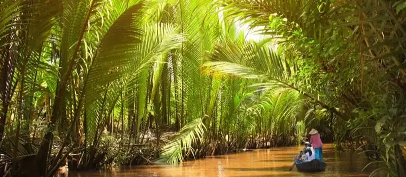 Voyage dans le Sud du Vietnam