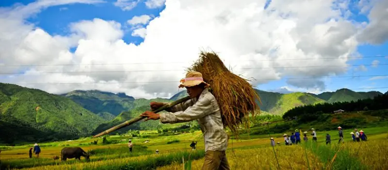 Village de Kho Muong