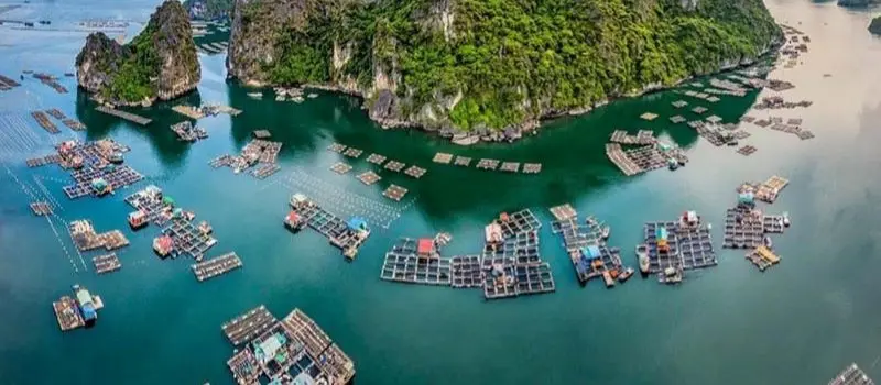 Village flottant de Vung Vieng