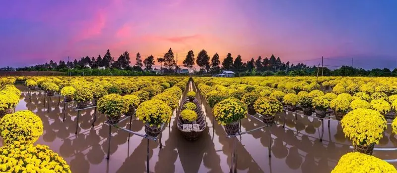 Voyage dans le Sud au Vietnam en janvier &agrave; mars