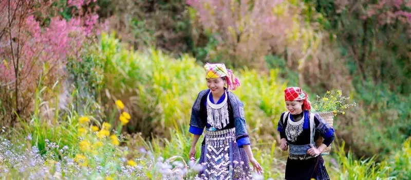 Voyage au Nord du Vietnam en printemps